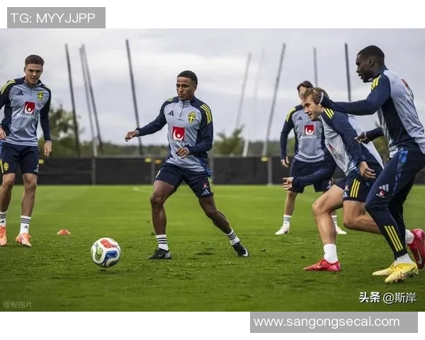 德国与瑞典精彩对决全场比赛视频下载链接分享